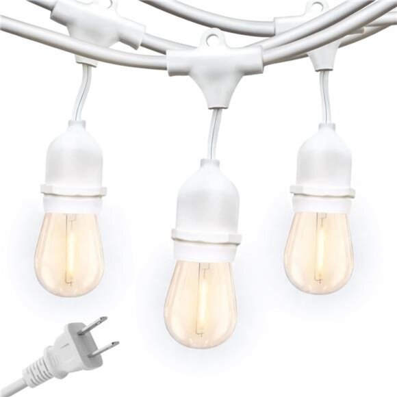 Ambience Pro Waterproof LED Outdoor String Lights, 48 Ft, Hanging, Dimmable - Picture 1 of 8